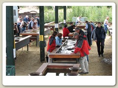 Panning for gold tables