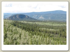 Five Finger Rapids on the Yukon River