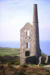 tin01.jpg (67871 bytes)