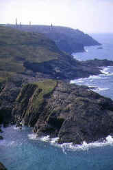 tin03.jpg (71111 bytes)