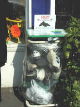 P3300088.jpg (54040 bytes)