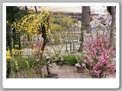 The gounds of The Palace Museum