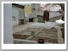 Home visit - small garden in courtyard