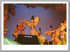 The Chinese opera