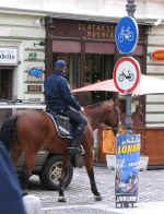 market02.JPG (52022 bytes)