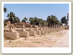 Luxor Temple
